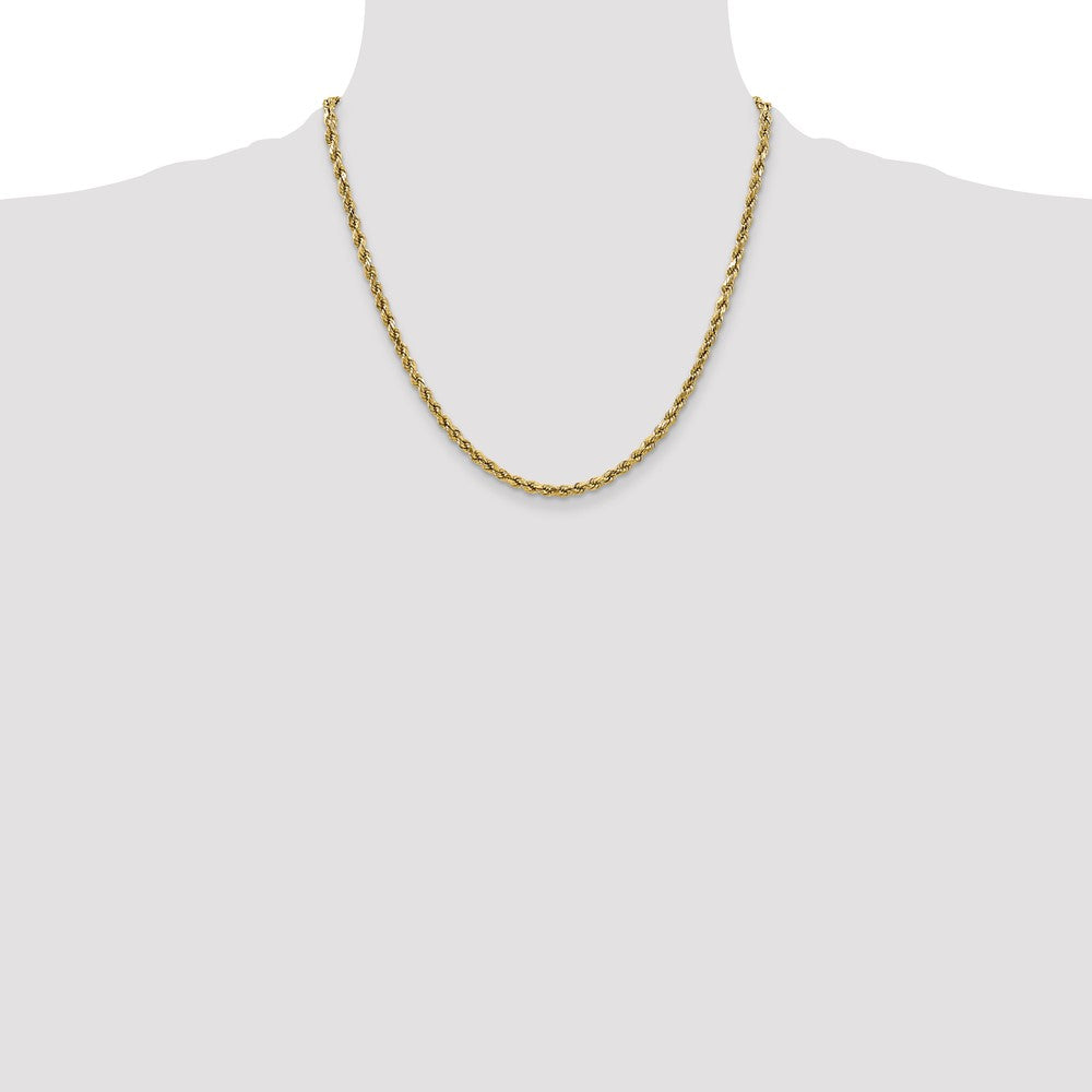 10k Yellow Gold 2.5mm Semi-solid Diamond-Cut Rope Chain Necklace