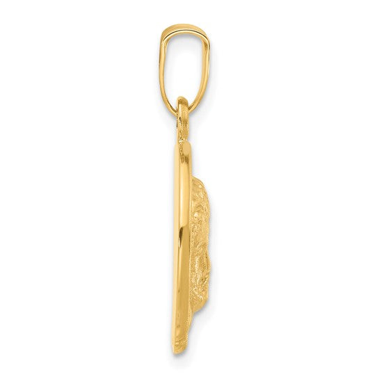 14k Yellow Gold Satin Jesus Medal Pendant L-25.4 mm, W-16 mm