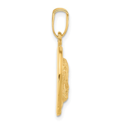 14k Yellow Gold Satin Jesus Medal Pendant L-25.4 mm, W-16 mm