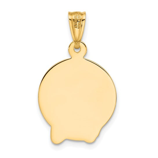 14k Yellow Gold Satin Jesus Medal Pendant L-25.4 mm, W-16 mm