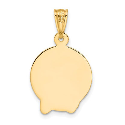 14k Yellow Gold Satin Jesus Medal Pendant L-25.4 mm, W-16 mm
