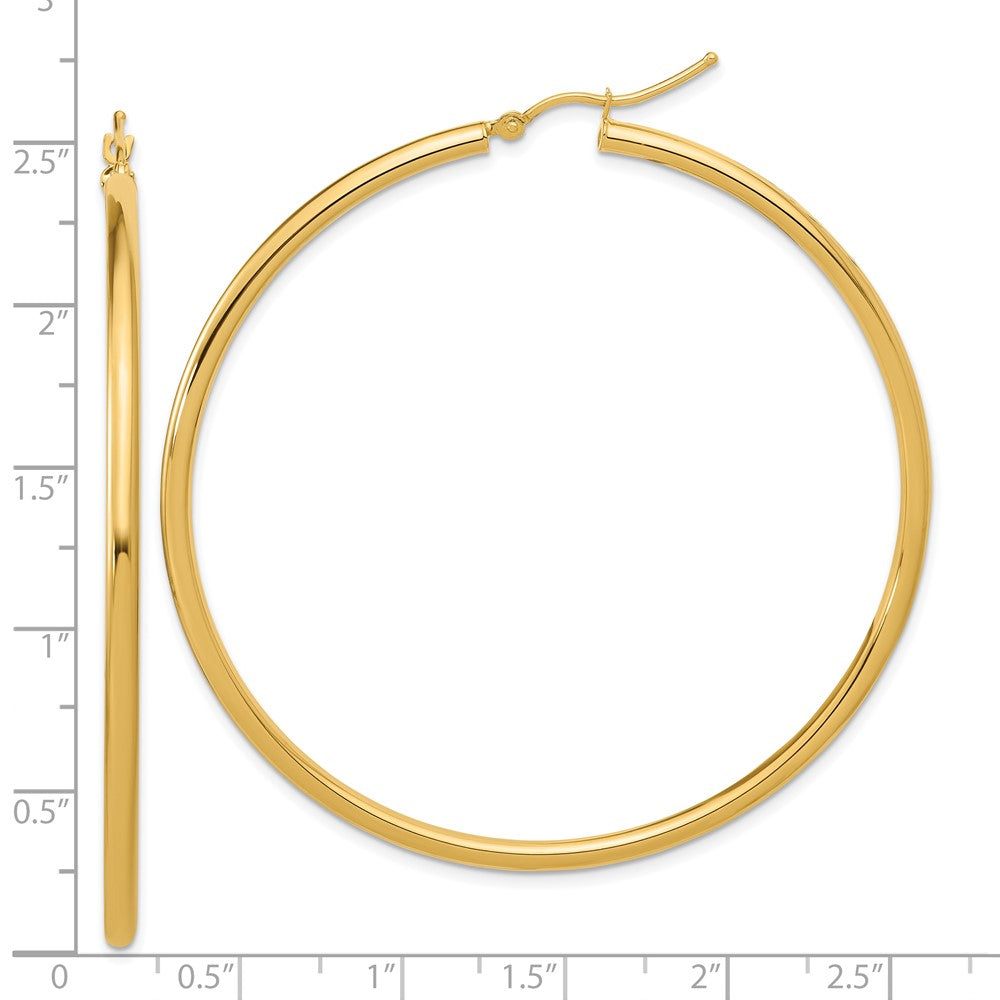 14k Yellow Gold Polished 2.5mm Polished Hoop Earrings